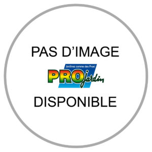 ALLUME GAZ POUR BARBECUE