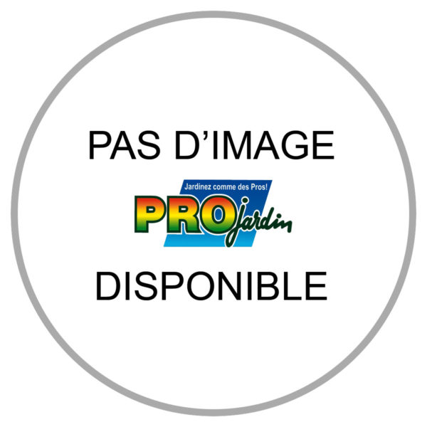 ALLUME GAZ POUR BARBECUE