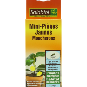 Mini-pièges jaunes moucherons SOLABIOL