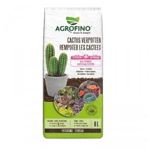 TERREAU SPECIAL CACTUS AGROFINO 6L