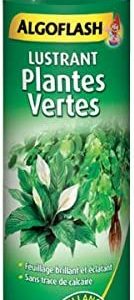 Lustrant plantes vertes aérosol ALGOFLASH 250ml