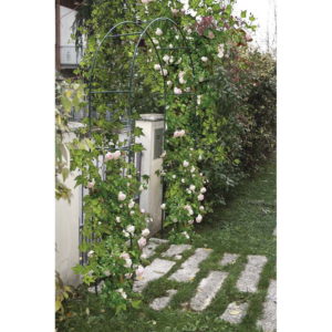 Arc de roses 225cm x 110cm VERDEMAX
