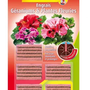ENGRAIS BATONNETS PLANTES FLEURIES ALGOFLASH