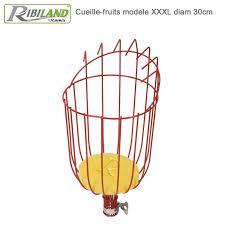 CUEILLE FRUITS