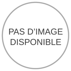 Serfouette à main langue & fourche 3 dents AGEF