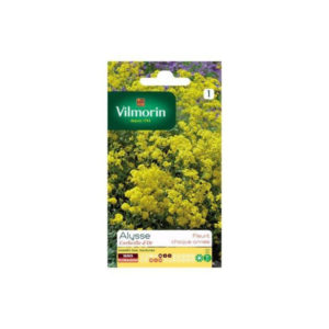 SACHET FLEURS ALYSSE VILMORIN