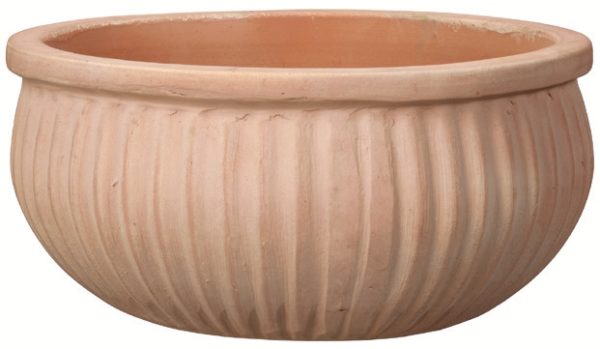 COUPE ATLAS 37 cm