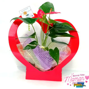 CORBEILLE COEUR ANTHURIUM