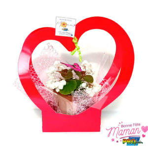CORBEILLE COEUR FLEURS
