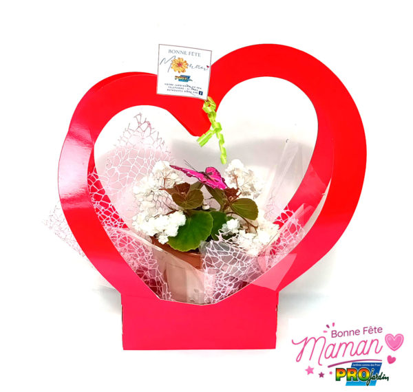 CORBEILLE COEUR FLEURS