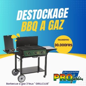 DESTOCKAGE BBQ