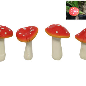 CHAMPIGNON A PIQUER
