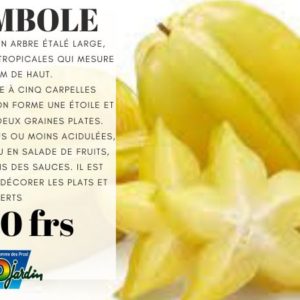 Carambole