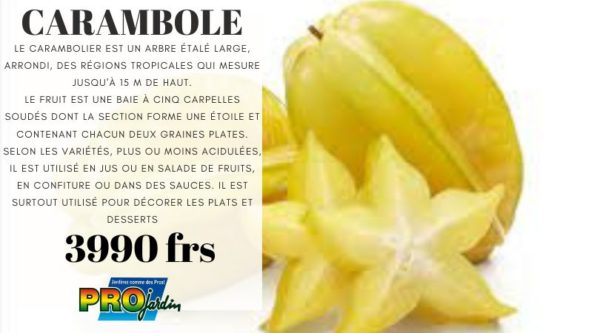 Carambole