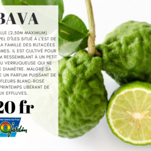 Combava
