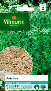 SACHET ANIS VERT VILMORIN