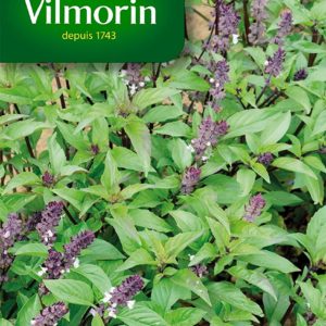 SACHET BASILIC CANNELLE VILMORIN
