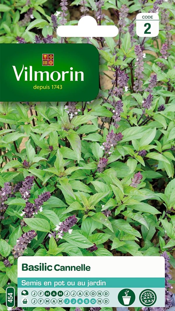 SACHET BASILIC CANNELLE VILMORIN