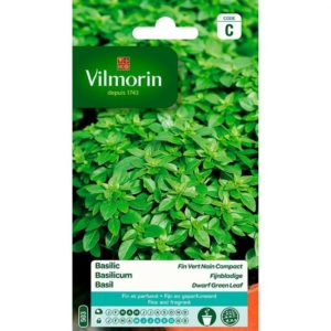 SACHET BASILIC FIN VERT NAIN COMPACT VILMORIN