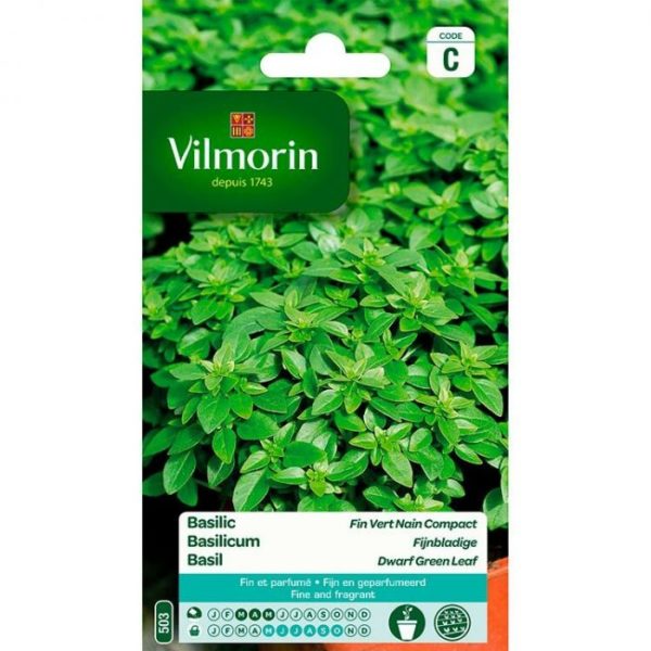 SACHET BASILIC FIN VERT NAIN COMPACT VILMORIN