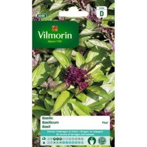 SACHET BASILIC THAI VILMORIN