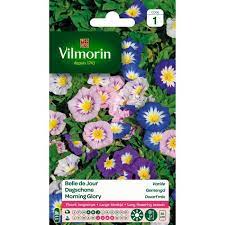 SACHET FLEURS BELLE DE JOUR VILMORIN