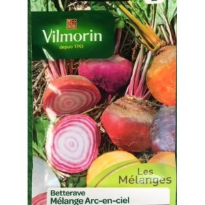 SACHET BETTERAVE ARC-EN-CIEL VILMORIN
