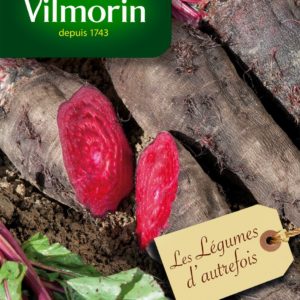 SACHET BETTERAVE CRAPAUDINE VILMORIN
