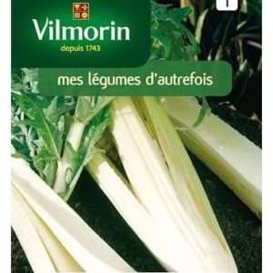 SACHET CARDON PLEIN BLANC VILMORIN