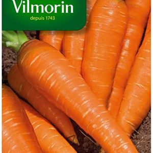 SACHET CAROTTE LONGUE DE MEAUX VILMORIN