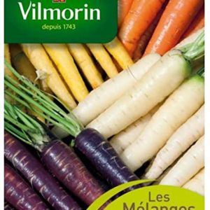 SACHET CAROTTE MELANGE DE COULEURS VILMORIN