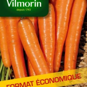 SACHET CAROTTE TOUCHON VILMORIN