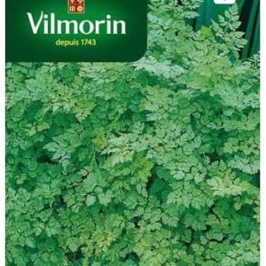 SACHET CERFEUIL COMMUN VILMORIN