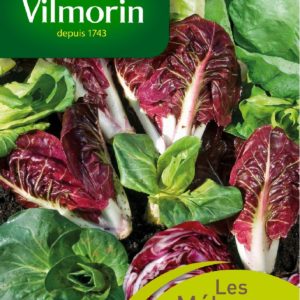 SACHET CHICOREE A FEUILLES EN MELANGE VILMORIN