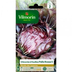 SACHET CHICOREE A FEUILLES PALLA ROSA VILMORIN