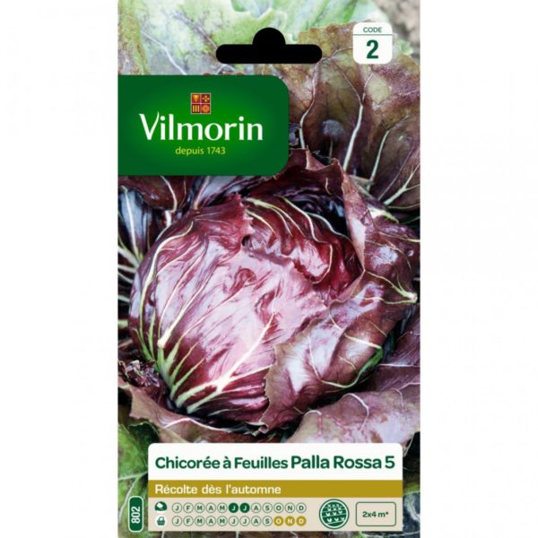 SACHET CHICOREE A FEUILLES PALLA ROSA VILMORIN
