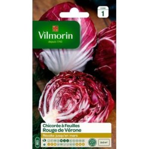 SACHET CHICOREE A FEUILLES ROUGES DE VERONE VILMORIN