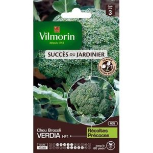 SACHET BROCCOLI VERDIA HF1 VILMORIN