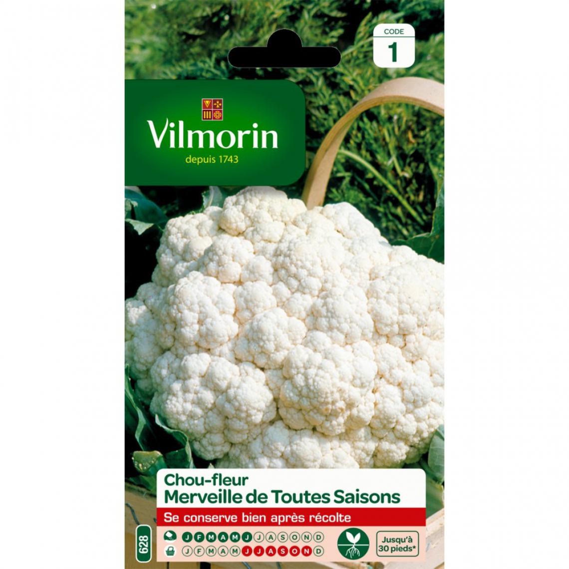 SACHET CHOU FLEUR MERVEILLE DES TOUTES SAISONS VILMORIN (Copie)