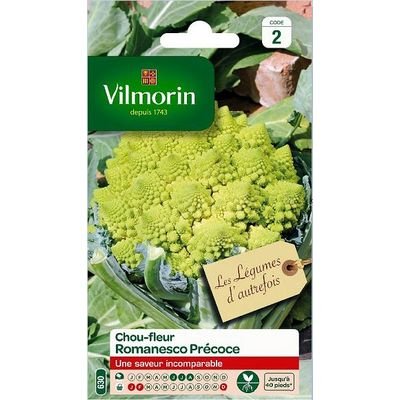 SACHET CHOU FLEUR ROMANESCO PRECOCE VILMORIN