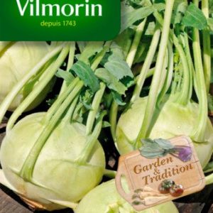 SACHET CHOU RAVE HATIF DE VIENNE VILMORIN
