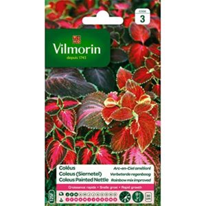 SACHET COLEUS ARC EN CIEL VILMORIN