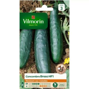SACHET CONCOMBRE BRESO HF1 VILMORIN
