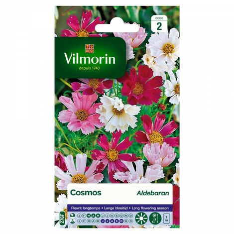 SACHET COSMOS ALDEBARAN VILMORIN