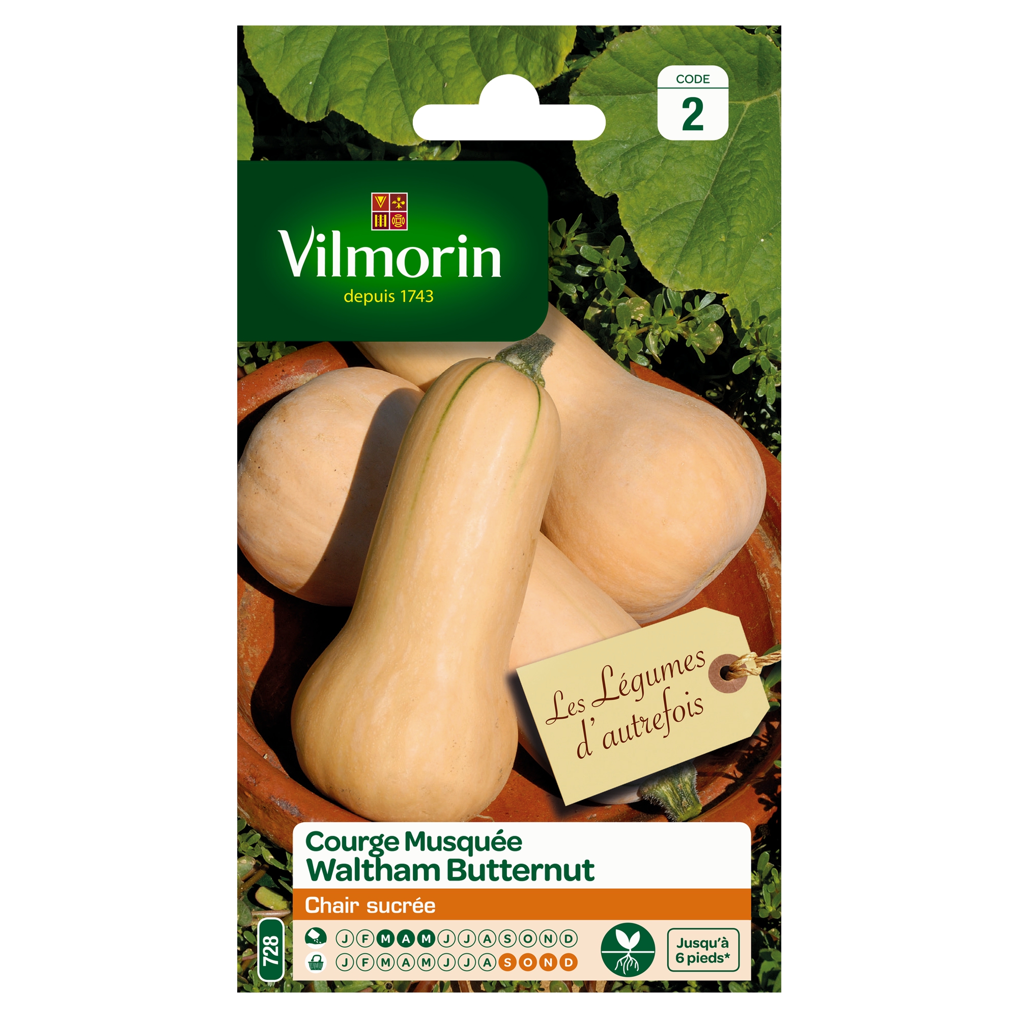 SACHET COURGE MUSQUEE WALTHAM BUTTERNUT VILMORIN