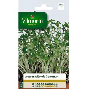 SACHET CRESSON ALENOIS COMMUN VILMORIN