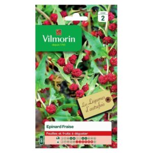SACHET EPINARD "FRAISE" VILMORIN