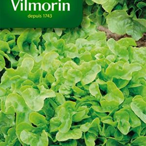 SACHET LAITUE A COUPER VILMORIN