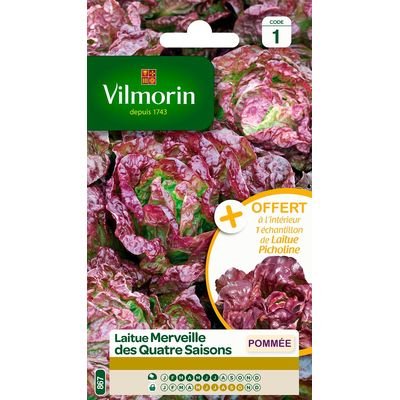 SACHET LAITUE MERVEILLE DES 4 SAISONS VILMORIN