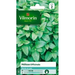 SACHET MELISSE OFFICINALE VILMORIN